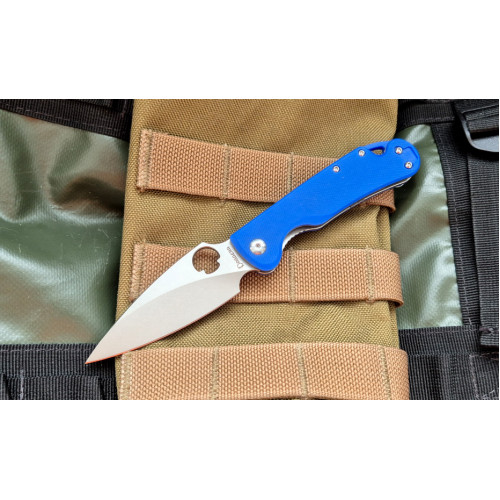 Sting Mini D2 Blue G10