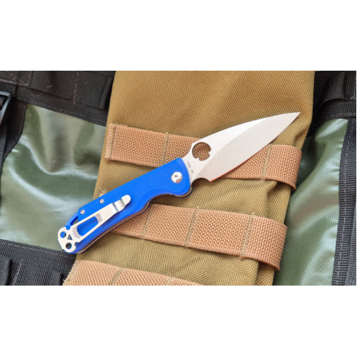 Sting Mini D2 Blue G10