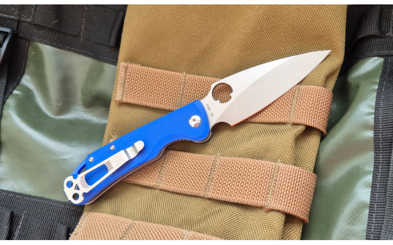 Sting Mini D2 Blue G10