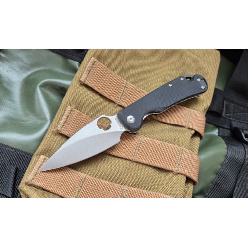 Daggerr Sting Mini D2